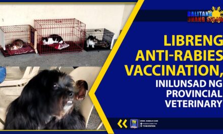 LIBRENG ANTI-RABIES VACCINATION, INILUNSAD NG PROVINCIAL VETERINARY