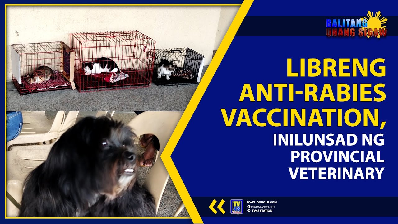 LIBRENG ANTI-RABIES VACCINATION, INILUNSAD NG PROVINCIAL VETERINARY ...