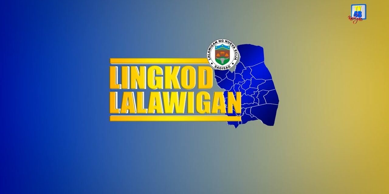 LINGKOD LALAWIGAN: BISE GOBERNADOR AT BOKAL SA SERBISYO