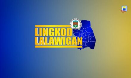 LINGKOD LALAWIGAN: BISE GOBERNADOR AT BOKAL SA SERBISYO