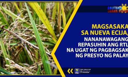 MAGSASAKA SA NUEVA ECIJA, NANANAWAGANG REPASUHIN ANG RTL NA UGAT NG PAGBAGSAK NG PRESYO NG PALAY