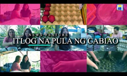 MALINAMNAM, ELDENJADE MOIST SALTED EGG SA BAYAN NG CABIAO