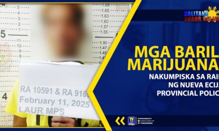 MGA BARIL, MARIJUANA, NAKUMPISKA SA RAID NG NUEVA ECIJA PROVINCIAL POLICE