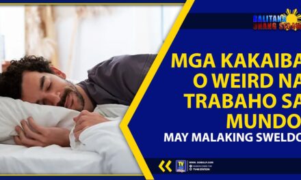 MGA KAKAIBA O WEIRD NA TRABAHO SA MUNDO, MAY MALAKING SWELDO