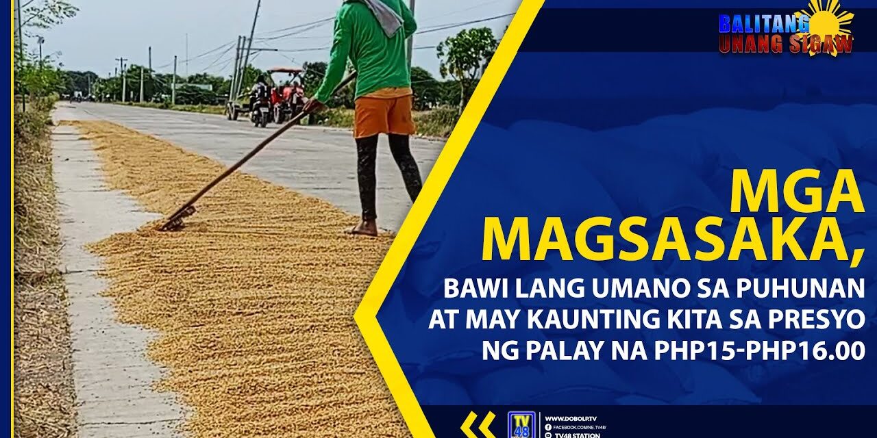 MGA MAGSASAKA, BAWI LANG UMANO SA PUHUNAN AT MAY KAUNTING KITA SA PRESYO NG PALAY NA PHP15-PHP16.00