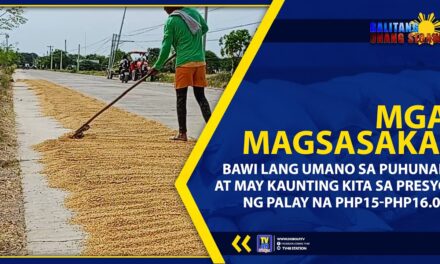 MGA MAGSASAKA, BAWI LANG UMANO SA PUHUNAN AT MAY KAUNTING KITA SA PRESYO NG PALAY NA PHP15-PHP16.00