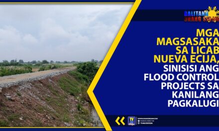MGA MAGSASAKA SA LICAB NUEVA ECIJA, SINISISI ANG FLOOD CONTROL PROJECTS SA KANILANG PAGKALUGI