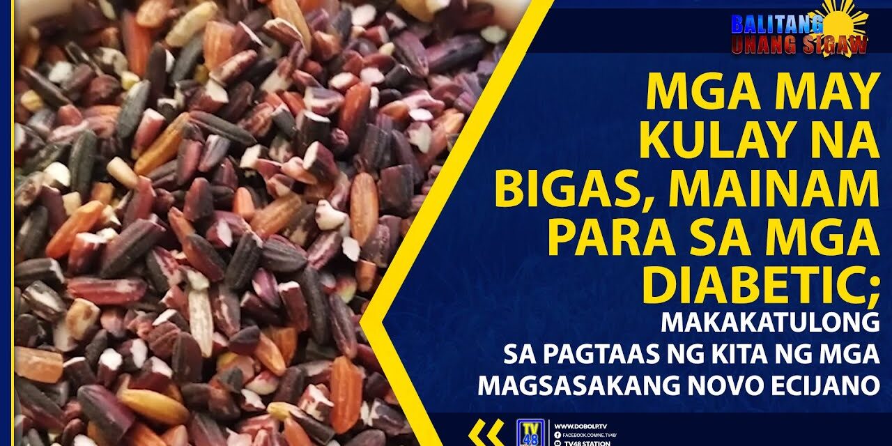 MGA MAY KULAY NA BIGAS, MAINAM PARA SA MGA DIABETIC; MAKAKATULONG SA PAGTAAS NG KITA NG MGA MAGSASAKANG NOVO ECIJANO