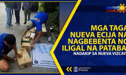 MGA TAGA NUEVA ECIJA NA NAGBEBENTA NG ILIGAL NA PATABA, NADAKIP SA NUEVA VIZCAYA