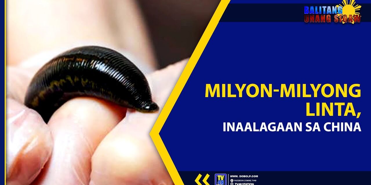 MILYON-MILYONG LINTA, INAALAGAAN SA CHINA