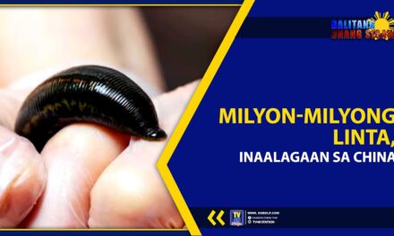 MILYON-MILYONG LINTA, INAALAGAAN SA CHINA