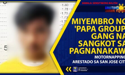 MIYEMBRO NG ‘PAPA GROUP’ GANG NA SANGKOT SA PAGNANAKAW, MOTORNAPPING, ARESTADO SA SAN JOSE CITY