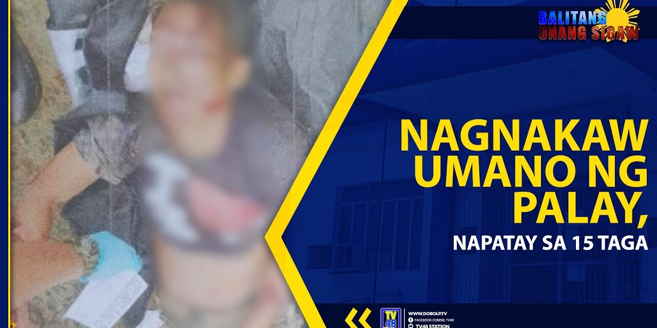 NAGNAKAW UMANO NG PALAY, NAPATAY SA 15 TAGA