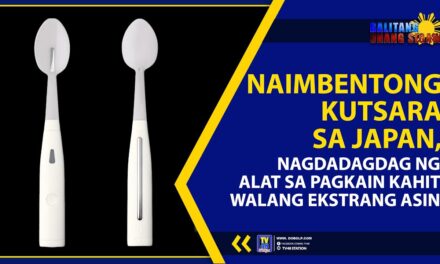 NAIMBENTONG KUTSARA SA JAPAN, NAGDADAGDAG NG ALAT SA PAGKAIN KAHIT WALANG EKSTRANG ASIN