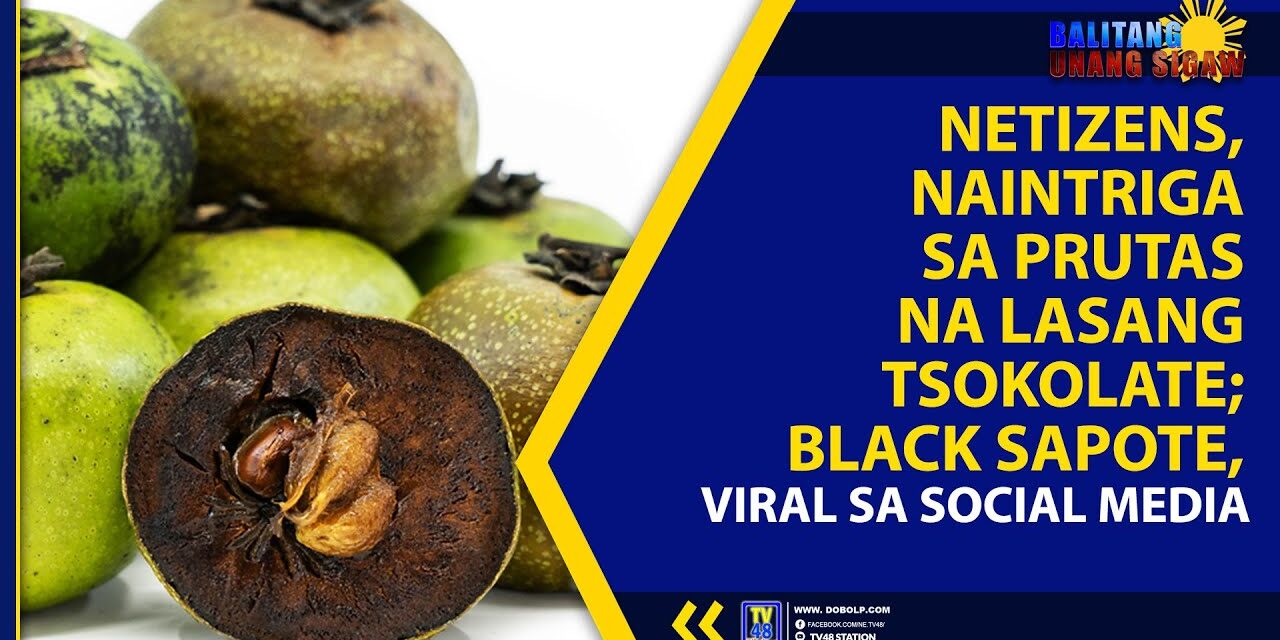 NETIZENS, NAINTRIGA SA PRUTAS NA LASANG TSOKOLATE; BLACK SAPOTE, VIRAL SA SOCIAL MEDIA