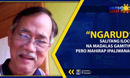 “NGARUD”: SALITANG ILOCO NA MADALAS GAMITIN, PERO MAHIRAP IPALIWANAG