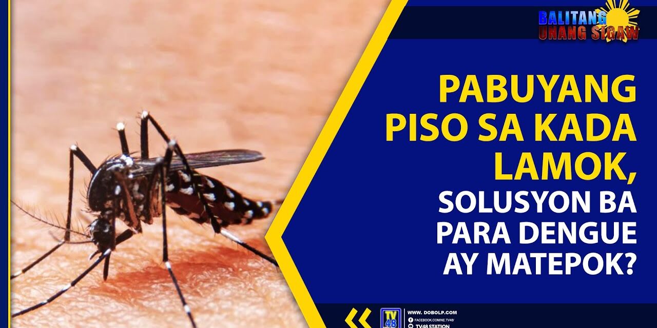 PABUYANG PISO SA KADA LAMOK, SOLUSYON BA PARA DENGUE AY MATEPOK?