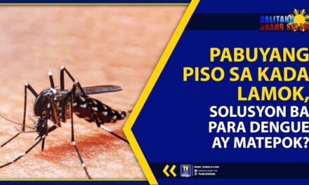 PABUYANG PISO SA KADA LAMOK, SOLUSYON BA PARA DENGUE AY MATEPOK?