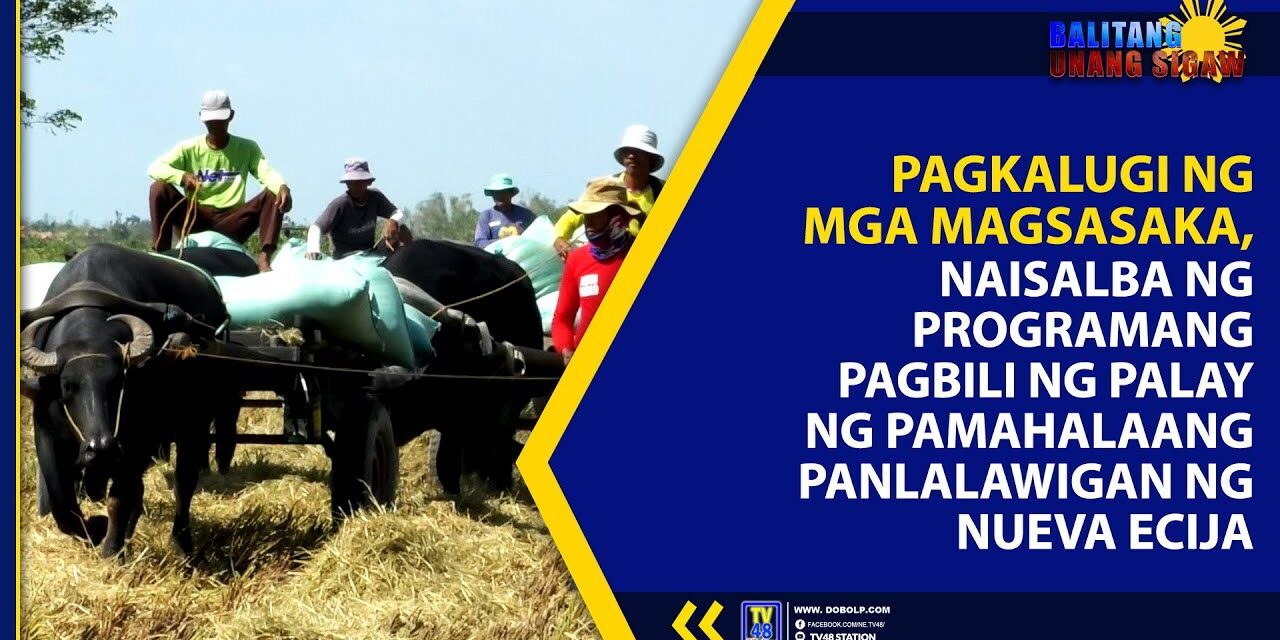 PAGKALUGI NG MGA MAGSASAKA, NAISALBA NG PROGRAMANG PAGBILI NG PALAY NG PAMAHALAANG PANLALAWIGAN NG NUEVA ECIJA