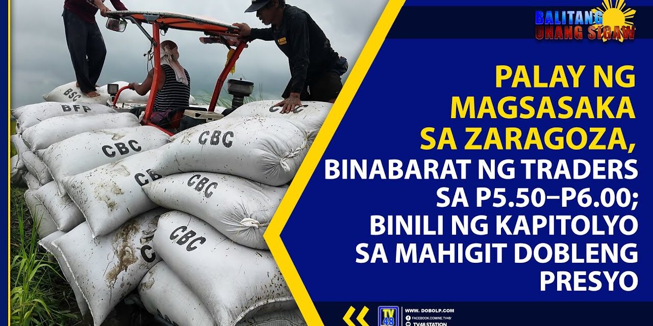 PALAY NG MAGSASAKA SA ZARAGOZA, BINABARAT NG TRADERS SA ₱5.50–₱6.00; BINILI NG KAPITOLYO SA MAHIGIT DOBLENG PRESYO