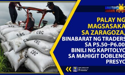 PALAY NG MAGSASAKA SA ZARAGOZA, BINABARAT NG TRADERS SA ₱5.50–₱6.00; BINILI NG KAPITOLYO SA MAHIGIT DOBLENG PRESYO