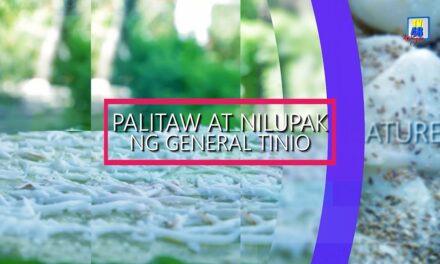 PALITAW AT NILUPAK: TRADISYONAL NA PANGHIMAGAS NG MGA PINOY