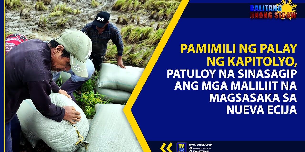 PAMIMILI NG PALAY NG KAPITOLYO, PATULOY NA SINASAGIP ANG MGA MALILIIT NA MAGSASAKA SA NUEVA ECIJA