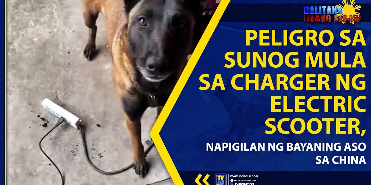 PELIGRO SA SUNOG MULA SA CHARGER NG ELECTRIC SCOOTER, NAPIGILAN NG BAYANING ASO SA CHINA