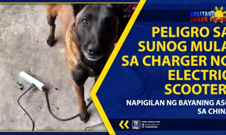 PELIGRO SA SUNOG MULA SA CHARGER NG ELECTRIC SCOOTER, NAPIGILAN NG BAYANING ASO SA CHINA