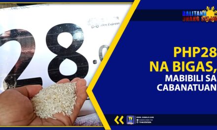 PHP28 NA BIGAS, MABIBILI SA CABANATUAN