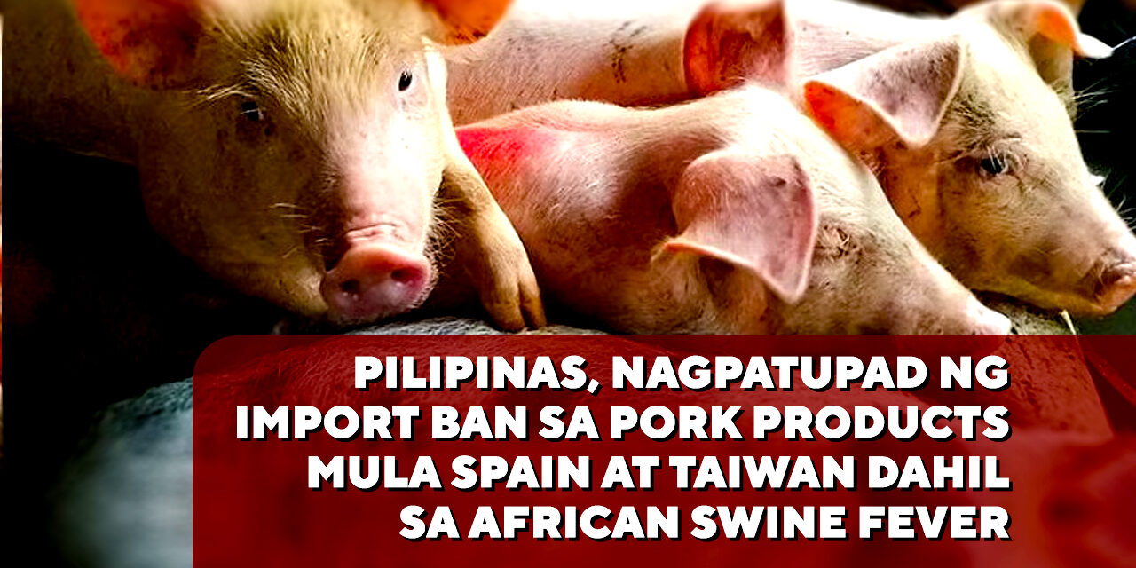 PILIPINAS, NAGPATUPAD NG IMPORT BAN SA PORK PRODUCTS MULA SPAIN AT TAIWAN DAHIL SA AFRICAN SWINE FEVER