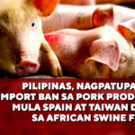 PILIPINAS, NAGPATUPAD NG IMPORT BAN SA PORK PRODUCTS MULA SPAIN AT TAIWAN DAHIL SA AFRICAN SWINE FEVER