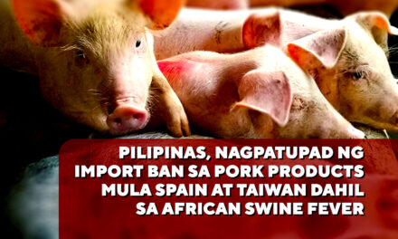 PILIPINAS, NAGPATUPAD NG IMPORT BAN SA PORK PRODUCTS MULA SPAIN AT TAIWAN DAHIL SA AFRICAN SWINE FEVER
