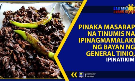 PINAKA MASARAP NA TINUMIS NA IPINAGMAMALAKI NG BAYAN NG GENERAL TINIO, IPINATIKIM