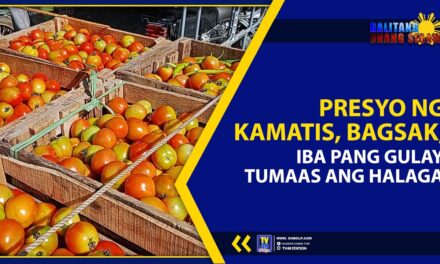 PRESYO NG KAMATIS, BAGSAK; IBA PANG GULAY TUMAAS ANG HALAGA