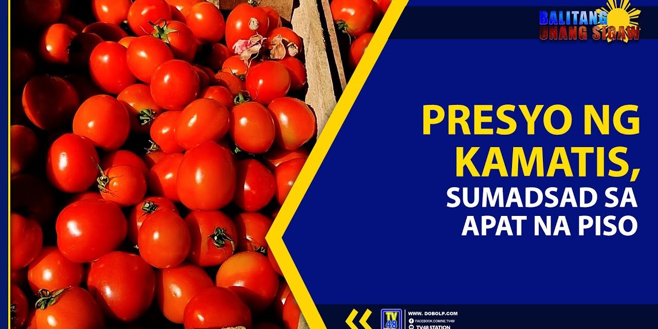 PRESYO NG KAMATIS, SUMADSAD SA APAT NA PISO