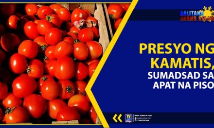 PRESYO NG KAMATIS, SUMADSAD SA APAT NA PISO