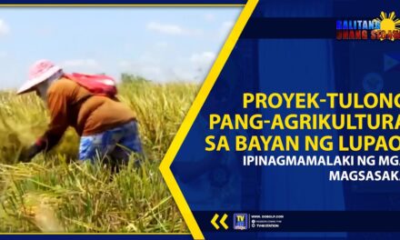 PROYEK-TULONG PANG-AGRIKULTURA SA BAYAN NG LUPAO, IPINAGMAMALAKI NG MGA MAGSASAKA