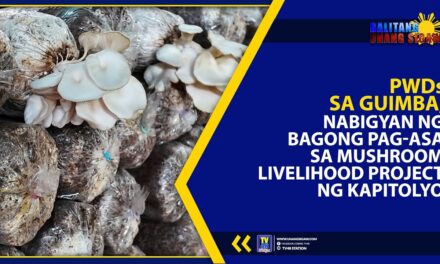 PWDs SA GUIMBA, NABIGYAN NG BAGONG PAG-ASA SA MUSHROOM LIVELIHOOD PROJECT NG KAPITOLYO