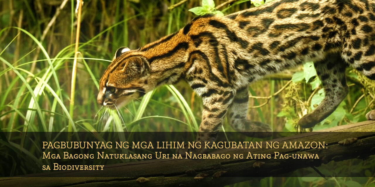 Pagbubunyag ng mga Lihim ng Kagubatan ng Amazon: Mga Bagong Natuklasang Uri na Nagbabago ng Ating Pag-unawa sa Biodiversity