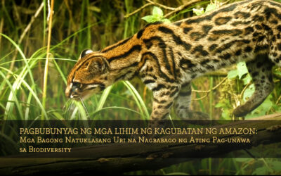 Pagbubunyag ng mga Lihim ng Kagubatan ng Amazon: Mga Bagong Natuklasang Uri na Nagbabago ng Ating Pag-unawa sa Biodiversity