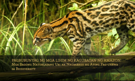 Pagbubunyag ng mga Lihim ng Kagubatan ng Amazon: Mga Bagong Natuklasang Uri na Nagbabago ng Ating Pag-unawa sa Biodiversity