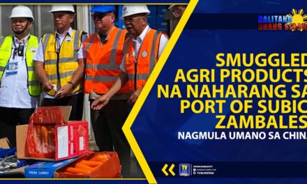 SMUGGLED AGRI PRODUCTS NA NAHARANG SA PORT OF SUBIC, ZAMBALES, NAGMULA UMANO SA CHINA