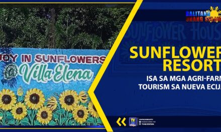 SUNFLOWER RESORT, ISA SA MGA AGRI-FARM TOURISM SA NUEVA ECIJA