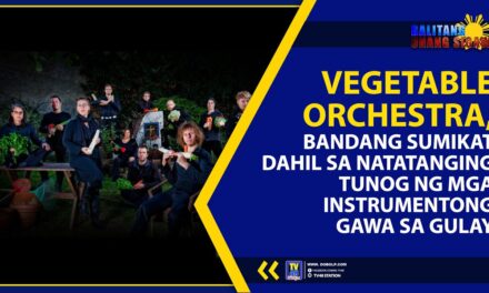 VEGETABLE ORCHESTRA, BANDANG SUMIKAT DAHIL SA NATATANGING TUNOG NG MGA INSTRUMENTONG GAWA SA GULAY