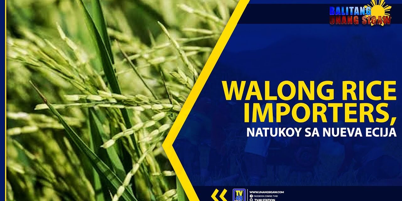 WALONG RICE IMPORTERS, NATUKOY SA NUEVA ECIJA