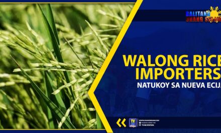 WALONG RICE IMPORTERS, NATUKOY SA NUEVA ECIJA