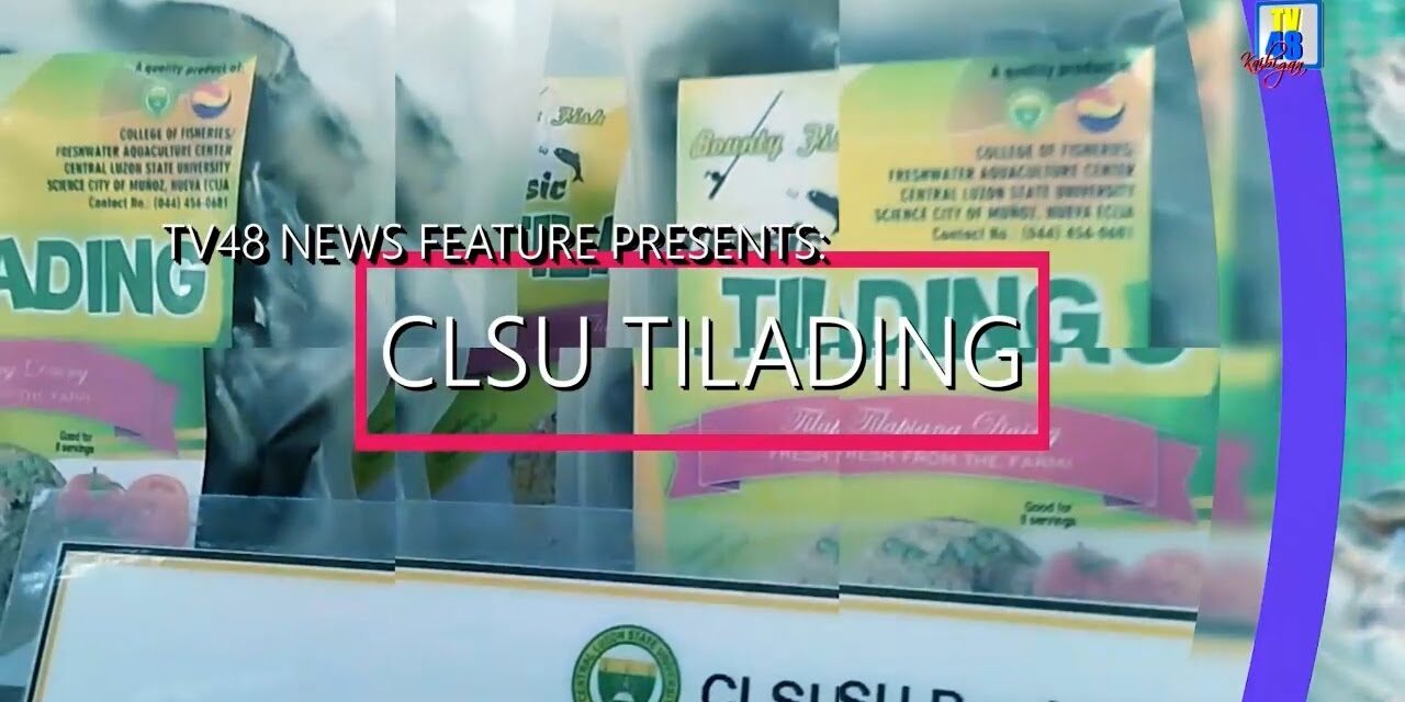 TILAPIA, PWEDE PALA GAWING DAING?