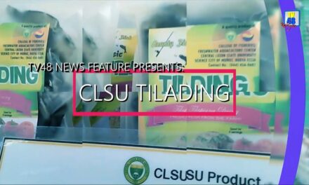 TILAPIA, PWEDE PALA GAWING DAING?