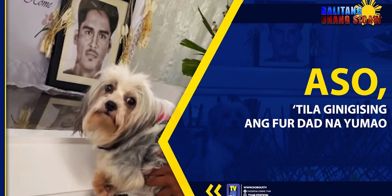 ASO, ‘TILA GINIGISING ANG FUR DAD NA YUMAO
